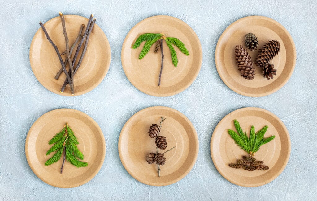 eco materials cones branches on paper plates on 2025 01 08 10 35 24 utc scaled